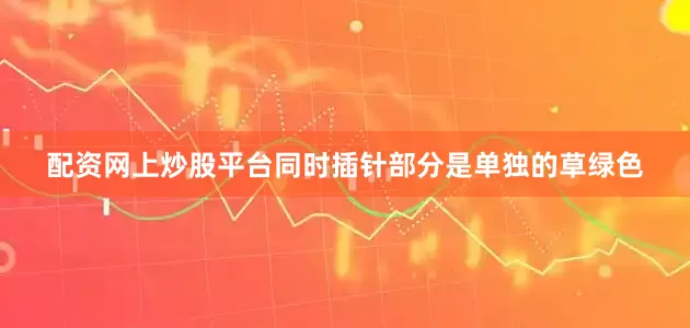 配资网上炒股平台同时插针部分是单独的草绿色